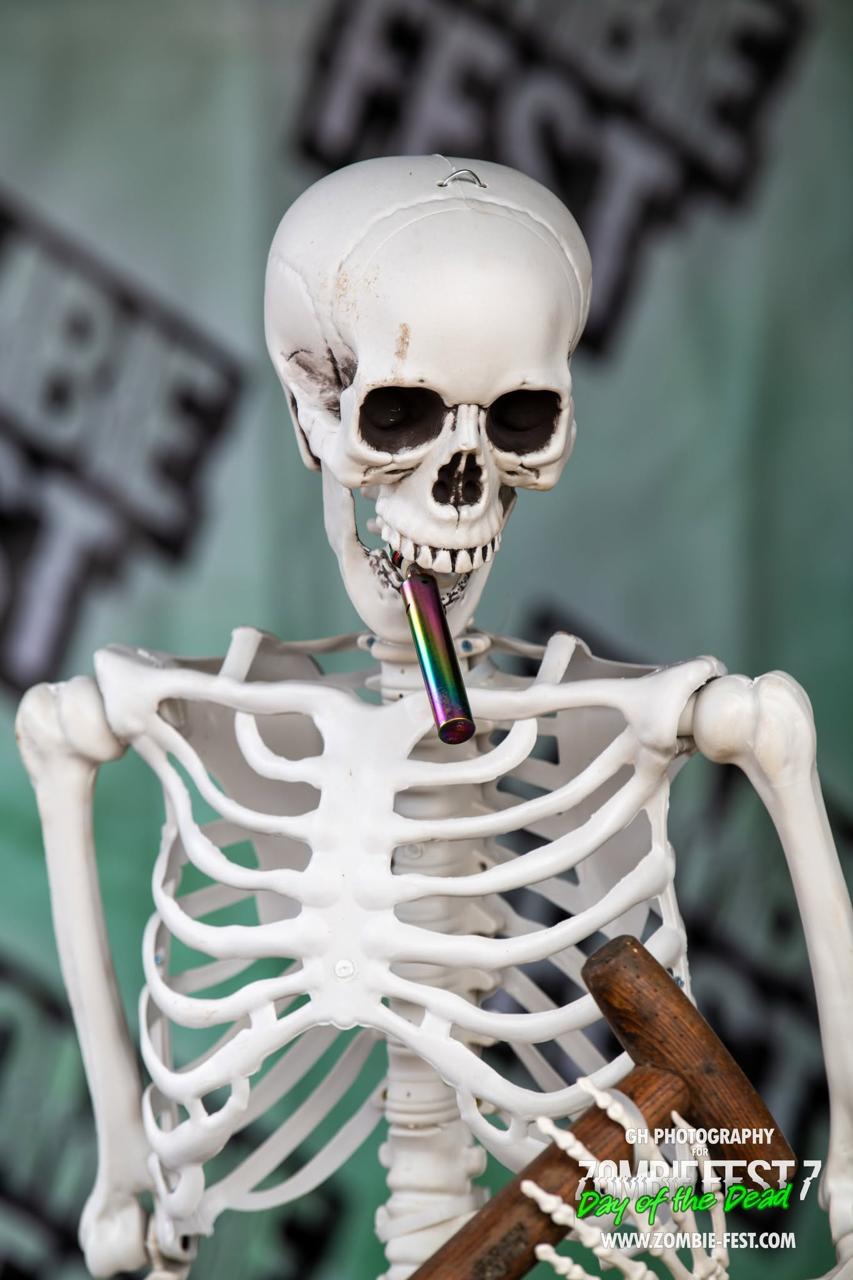 Skeleton prop holding a rainbow vape in its teeth in front of Zombie Fest branded backdrop at Zombie Fest 7 Day of the Dead